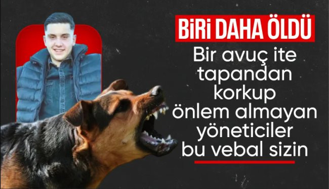 Siirt'te köpeklerden kaçarken kaza yapıp öldü